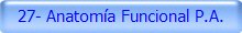 27- Anatomía Funcional P.A.