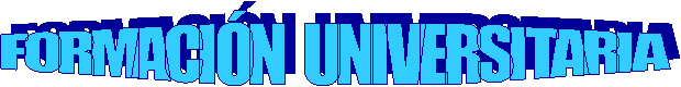 FORMACIÓN  UNIVERSITARIA 