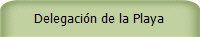 Delegación de la Playa
